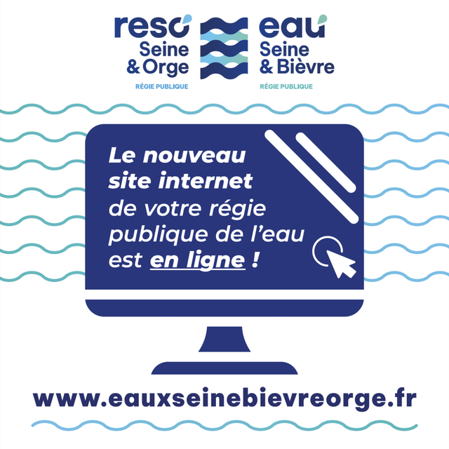 Lancement du site Internet de RESO