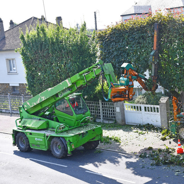 Reprise de la campagne d'élagage 