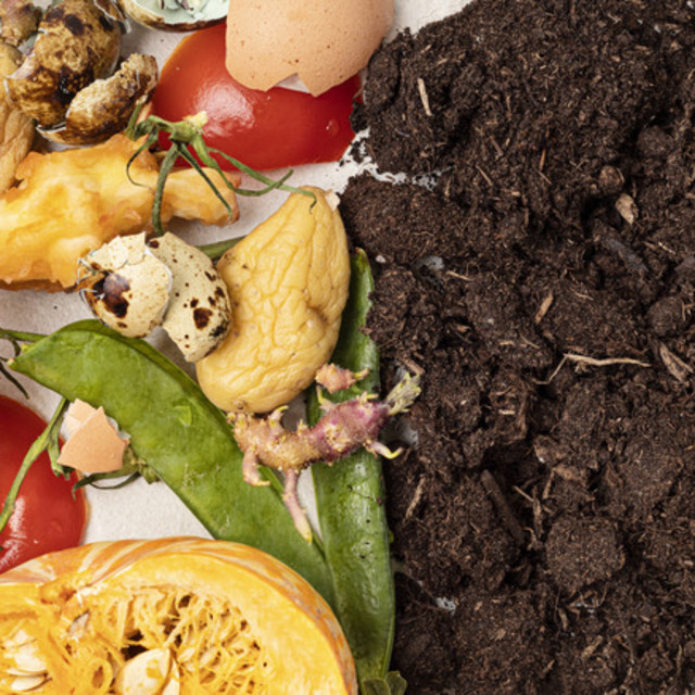 Gestion des biodéchets