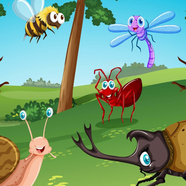 insectes