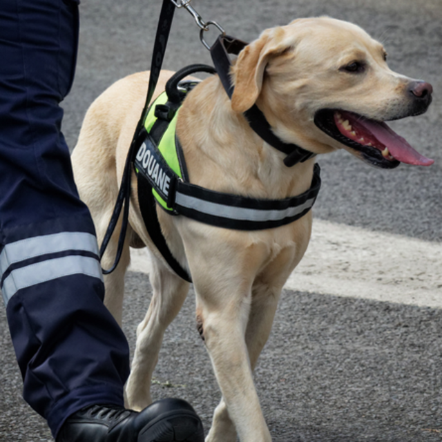aff conférence douane