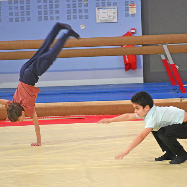 sport