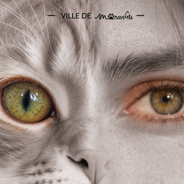 affiche des 3e Rencontres Animales
