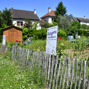 Potagers Morangissois Potagers Morangissois