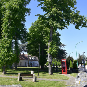 Square de Chard