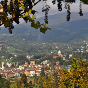 Ville de Bedonia