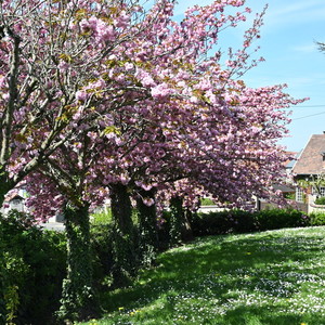 Square Jules Ferry