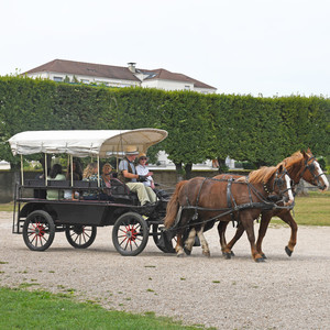 Balade en calèche