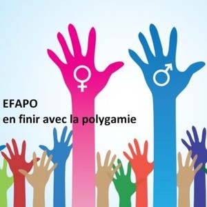 Logo de EFAPO Logo de EFAPO