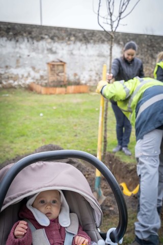 Une naissance = un arbre