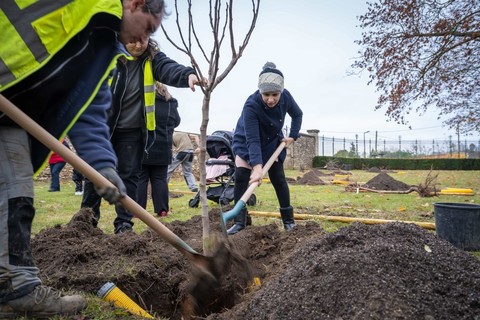 Une naissance = un arbre