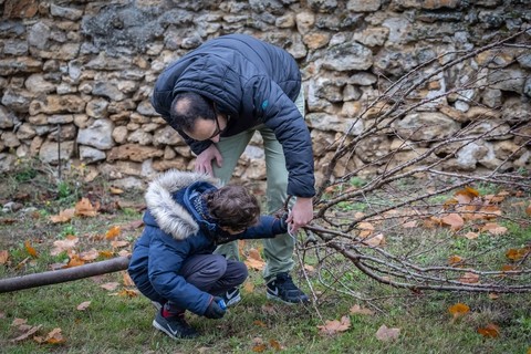 Une naissance = un arbre