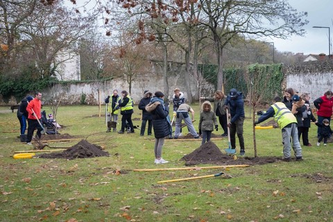 Une naissance = un arbre