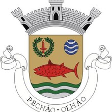 Logo de la Ville de Pechão