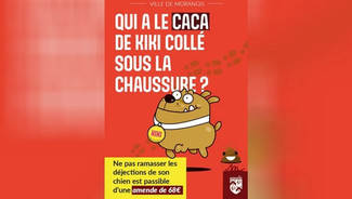Morangis mise sur l'humour pour lutter contre les déjections canines