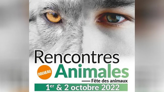 Morangis lance ses première Rencontres animales