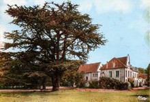 École Saint-Joseph