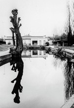 Étang