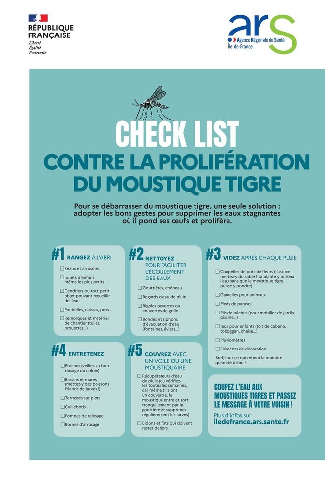 Moustique Tigre