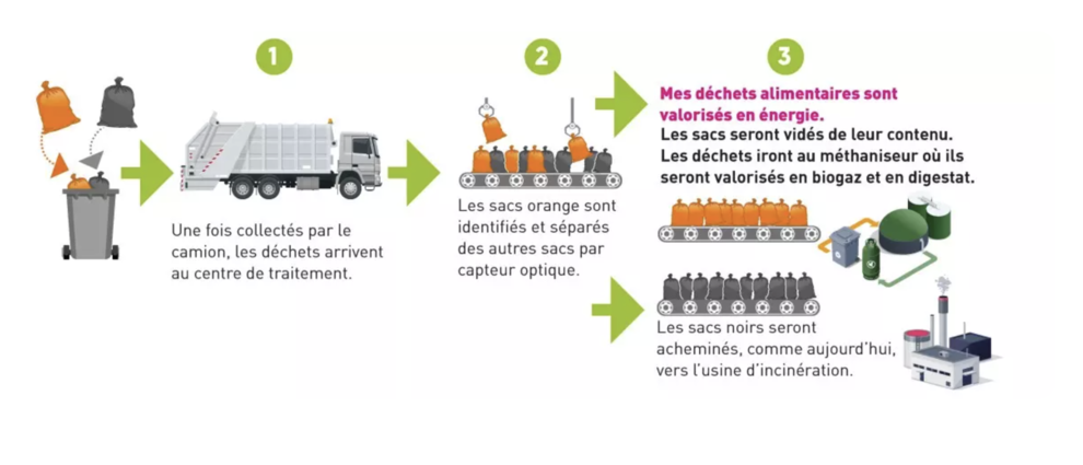 Circuit de la collecte des déchets alimentaires 