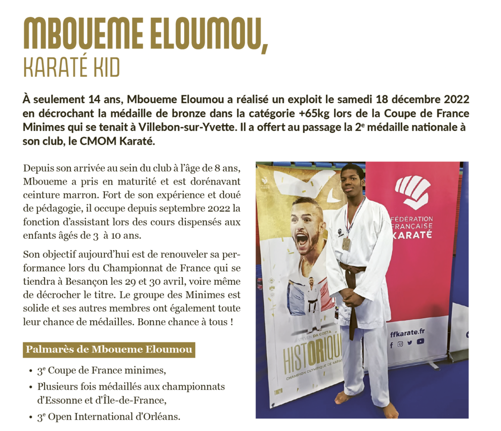 Article Mboueme Eloumou