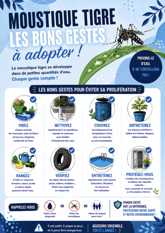 Flyer moustique tigre
