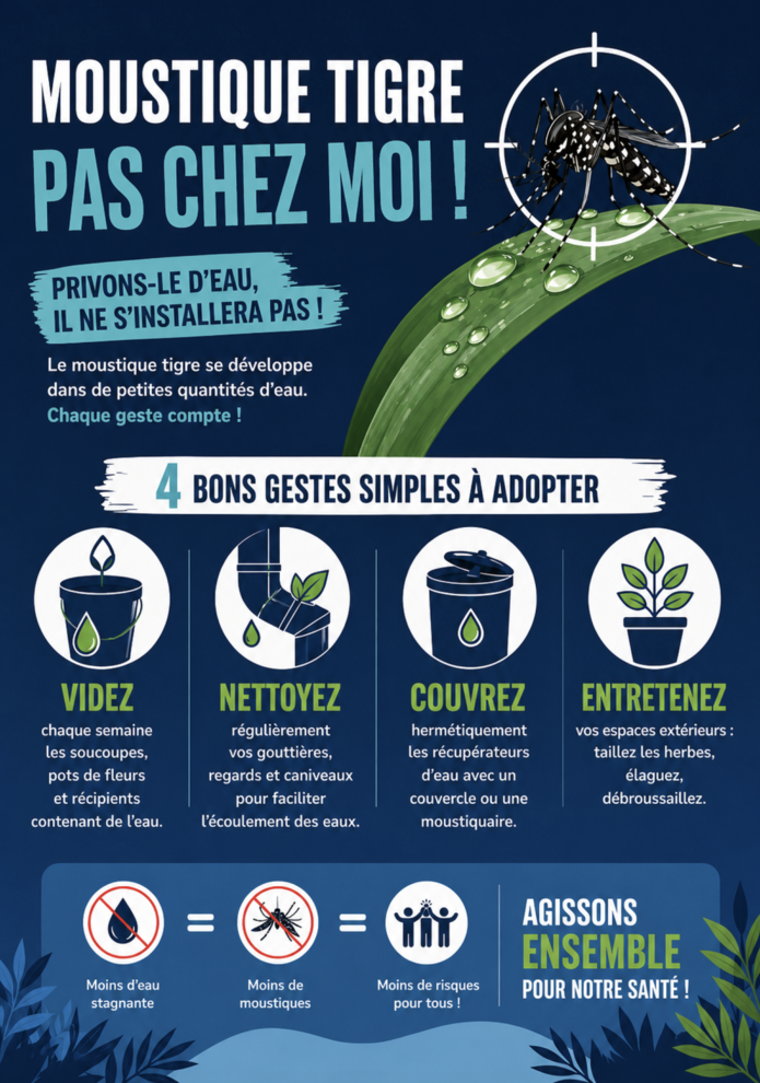 Flyer moustique tigre