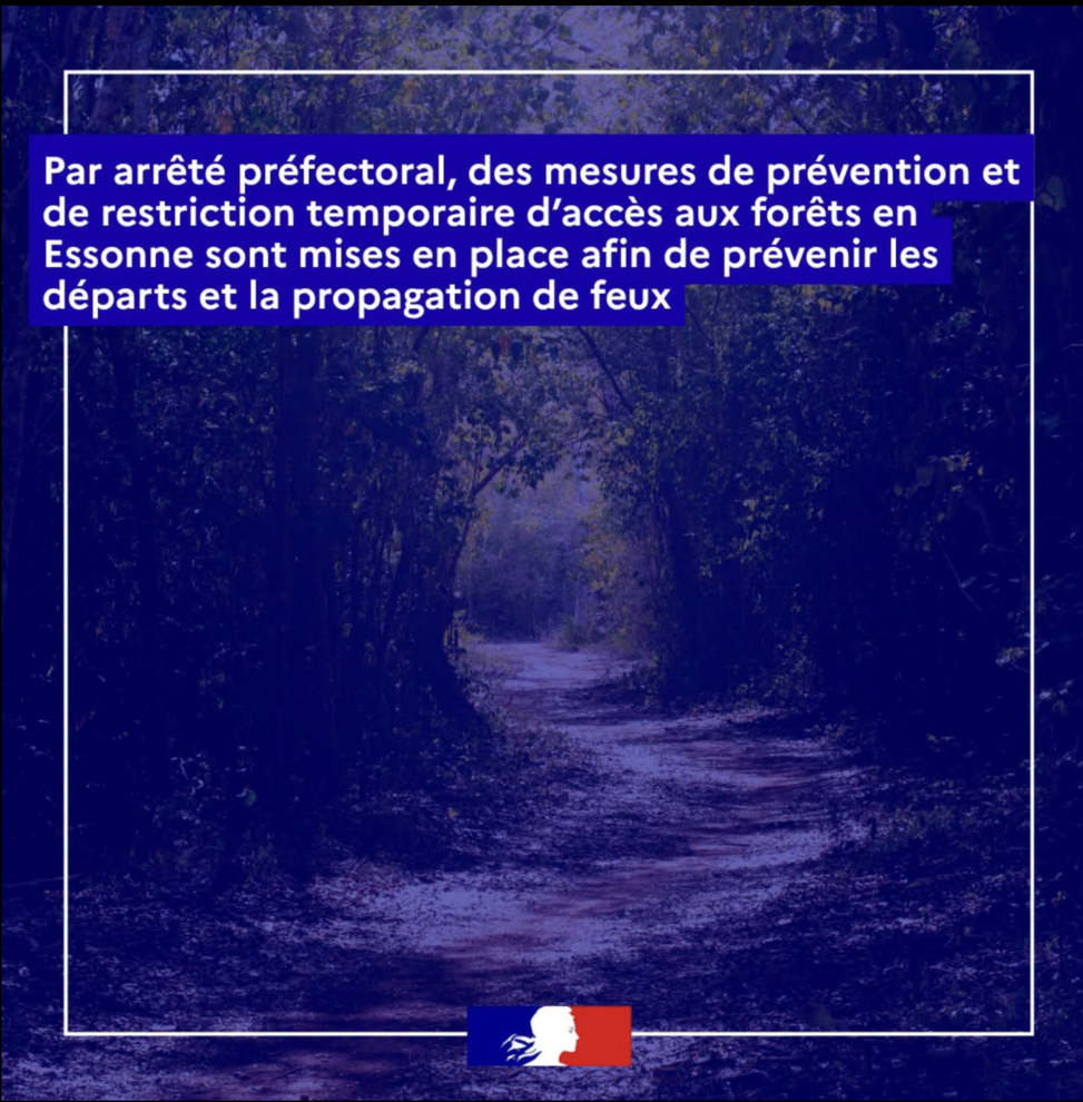 forêt