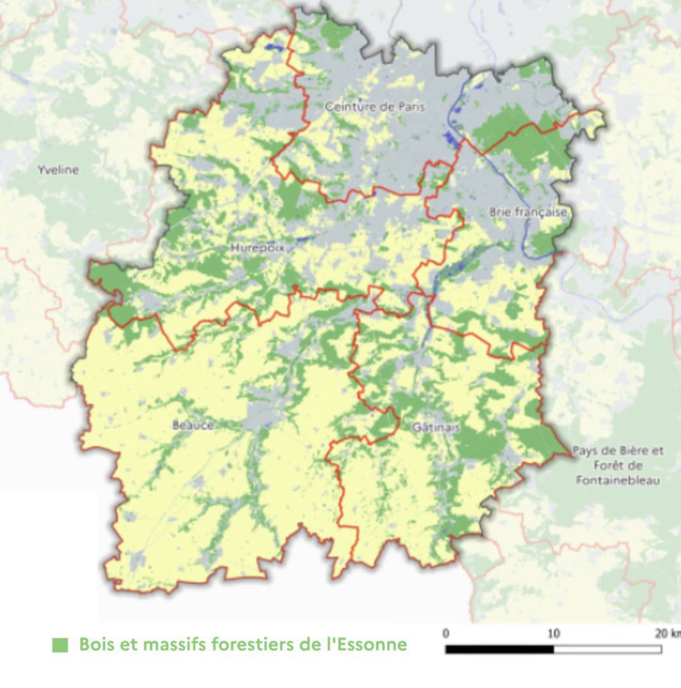 Forêt