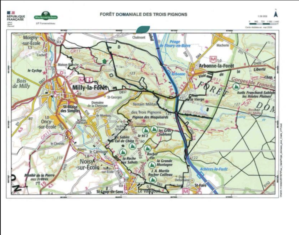Forêt