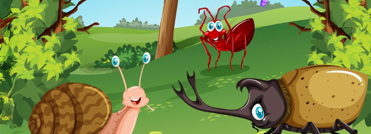 insectes