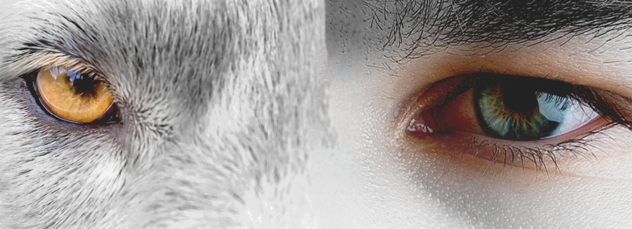 loup