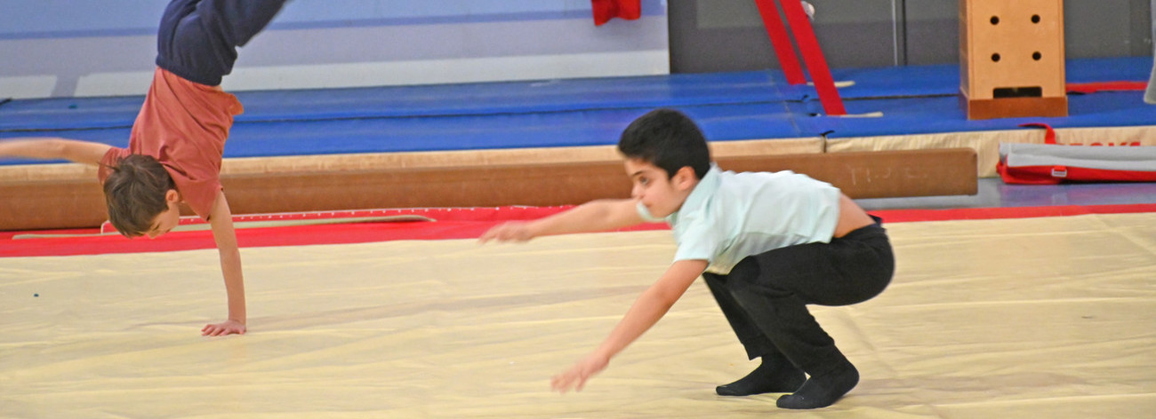 sport