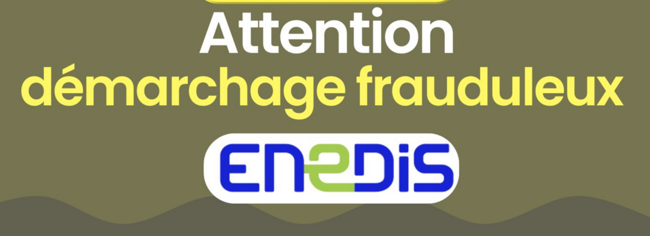 Endis fraude
