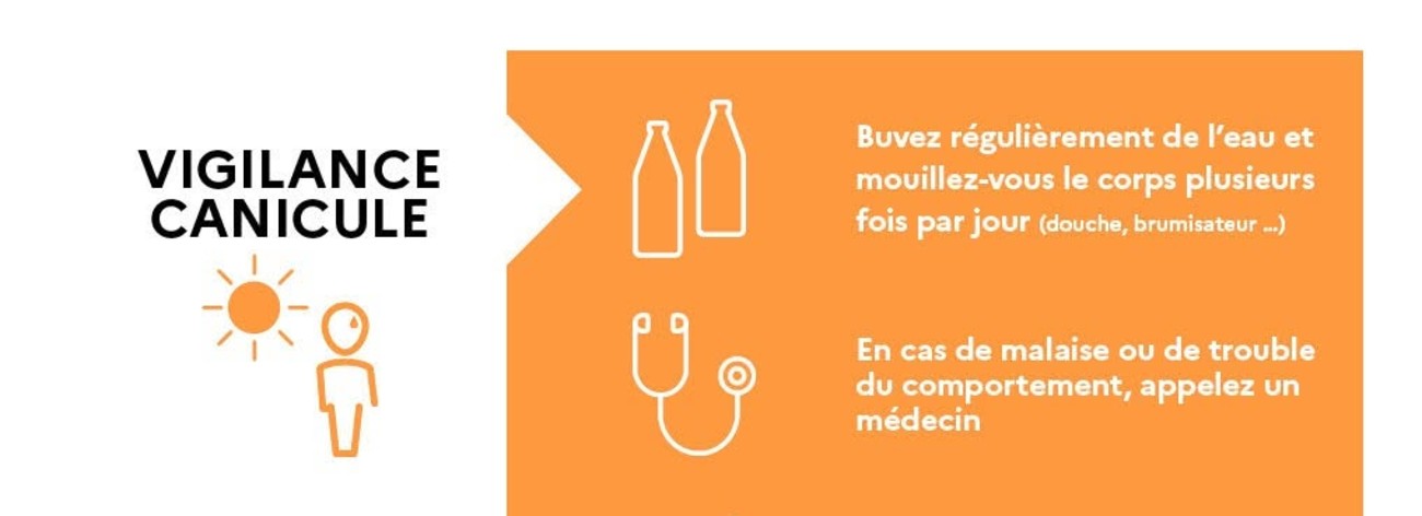 canicule
