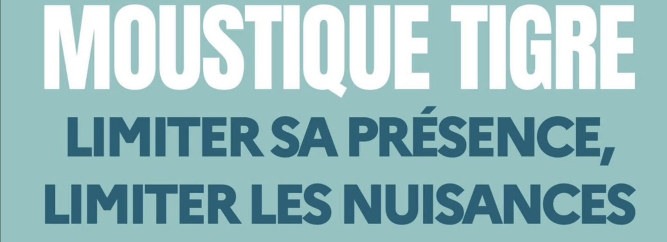 Moustique tigre