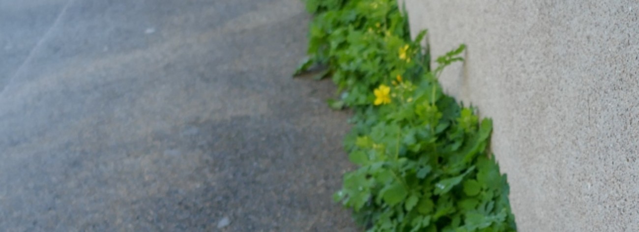 Trottoirs