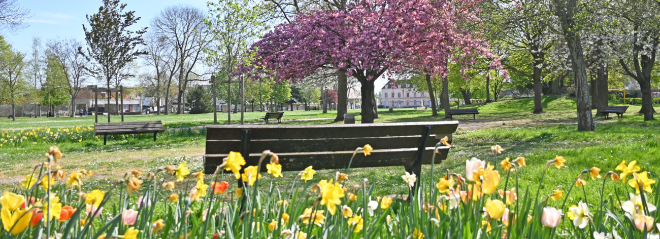 Paysage parc Saint-Michel