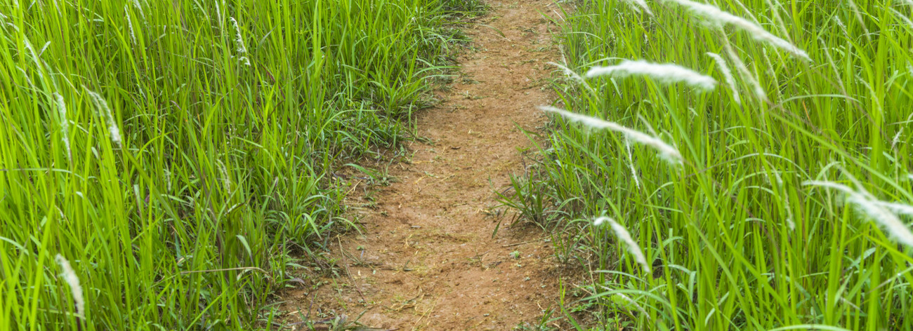 Sentier