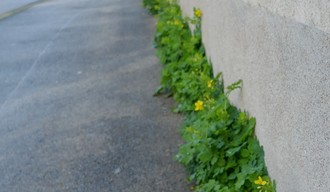 Trottoirs