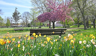 Paysage parc Saint-Michel